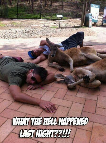 Feder26's tweet photo. @beamteamud is this what life is like for you now? @inVINCEable13 http://t.co/jO3mbyJMCK