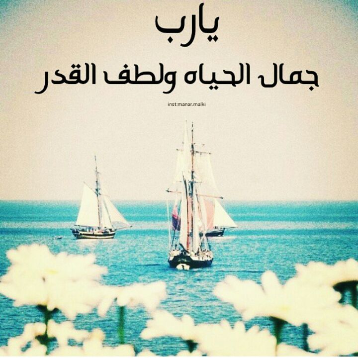 hdssa00's tweet photo. يارب http://t.co/R0bnddg7Ea