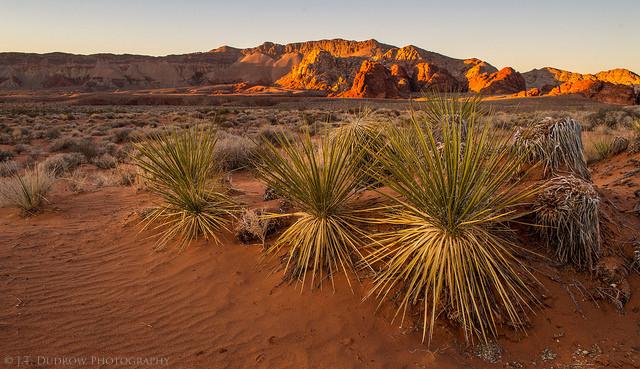 Last light from Little Finland. Who says cloudless skies are boring? #nevada #travelnevada #littlefinland #goldbutte