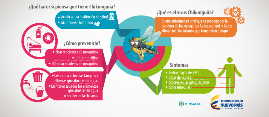 MinSaludCol's tweet photo. ¿Qué es el chikunguña, cuánto dura, cuáles son los síntomas? #controlachikunguña e infórmate http://t.co/t7RMN4XTTi http://t.co/yC91YPdLzZ