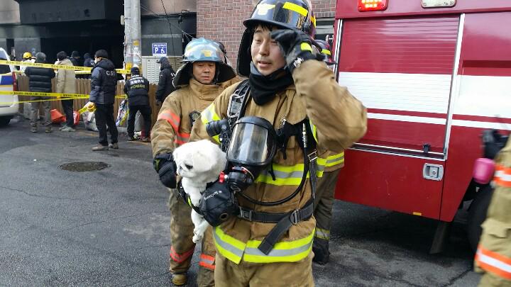 TerriousJ's tweet image. #SBS #의정부아파트화재 먼저 구조된 주인이 혼자만 구조됐다며 애타게 찾던 강아지. 소방대원이 다시 뛰어들어가 화장실에서 떨고있던 녀석을 찾았습니다. 땀에 펑젖은 소방관, 주민에겐 이분이 영웅이십니다.