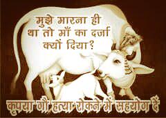 Save the cow