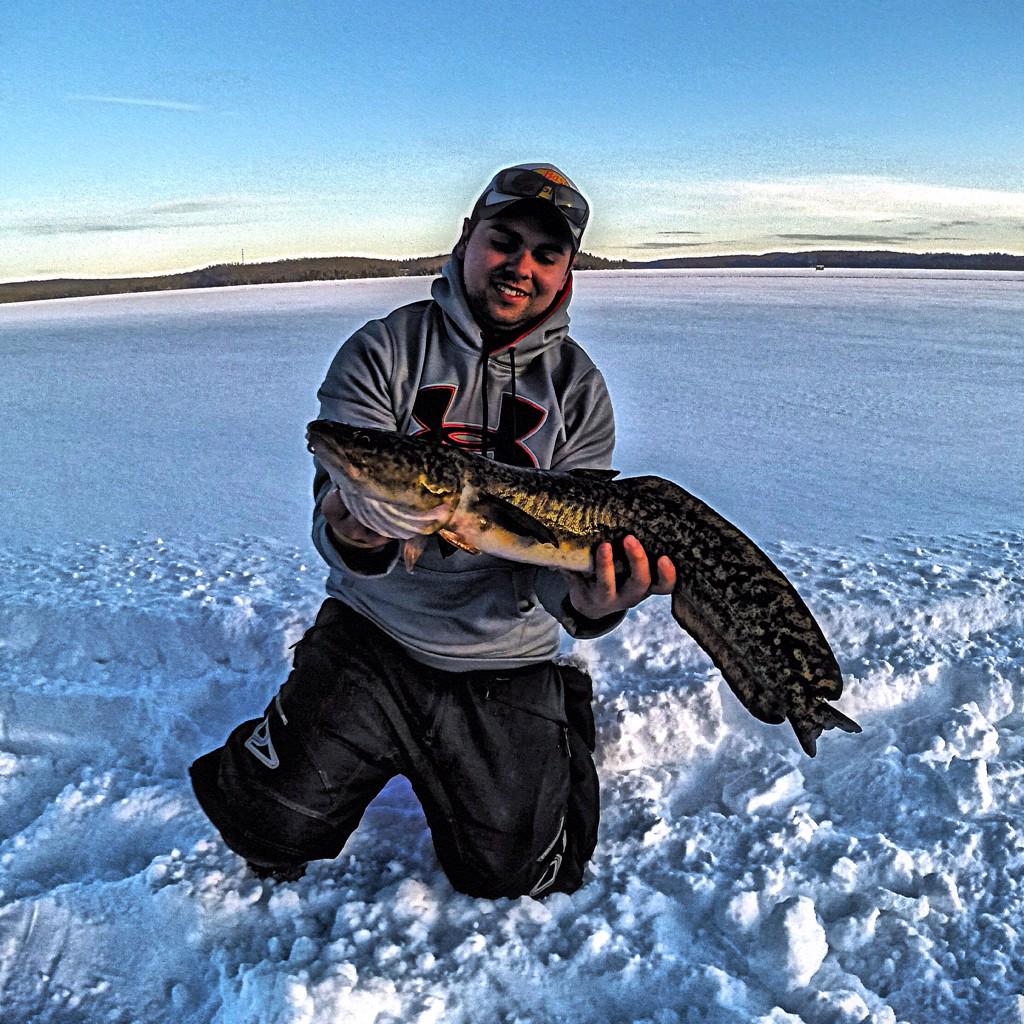 SteveRowswell19's tweet photo. Best fish from my walleye trip was this big ugly burbot.. Thought we hooked into a big eye! http://t.co/Eihbp73JeB