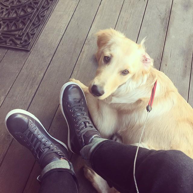 埋め込み画像への固定リンク