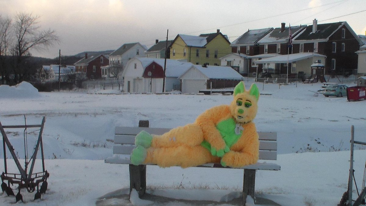 hedgehogoalie's tweet photo. #furstfriday YAY SNOW WAS AWESOME AND I LOVE BEING A FOX HEHE http://t.co/Tns6E1mB0e