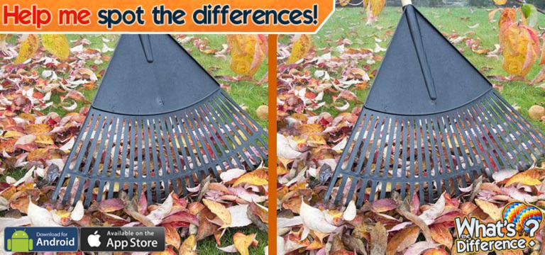 JamesAM91's tweet photo. OMG, did you try #WhatsTheDifference yet? Play free on iOS or Android: http://t.co/qBilJrtg6v http://t.co/Gzg76aXNqe