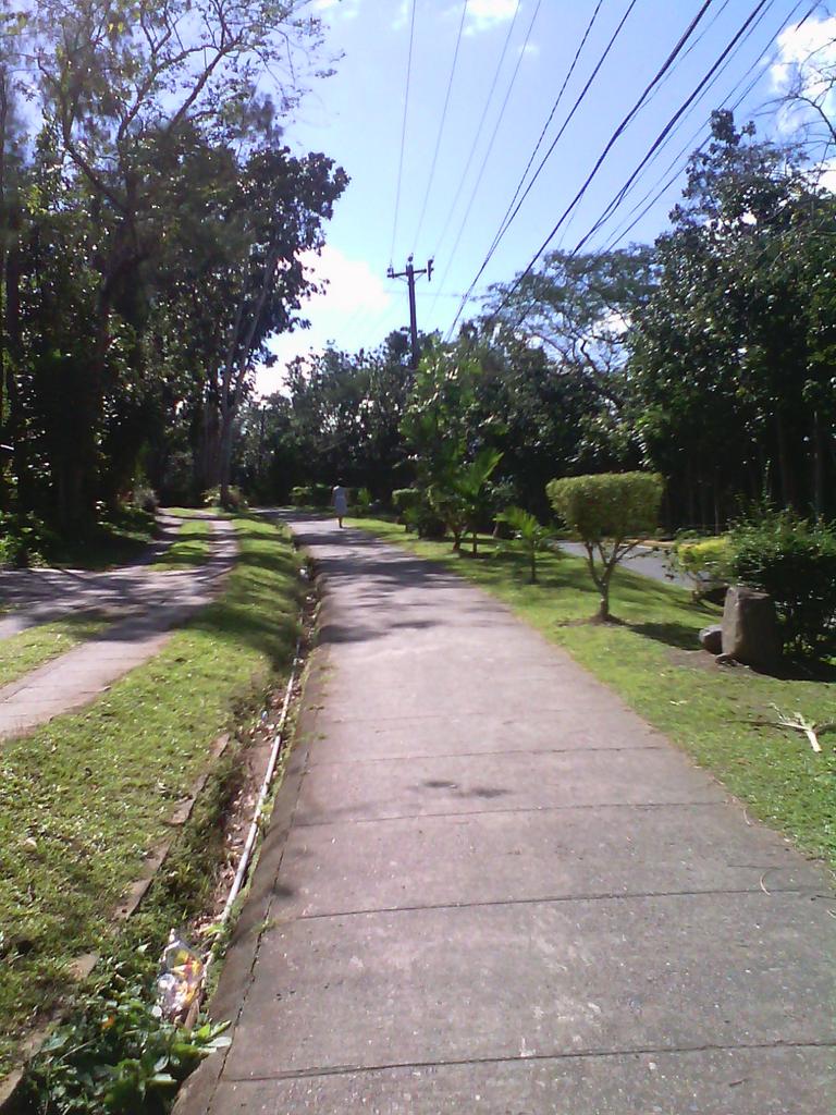 glemchii's tweet image. Look so hot huh...
#AsTheWindBlows #SunnyButCold