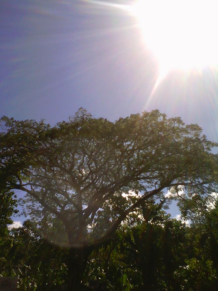 glemchii's tweet image. Look so hot huh...
#AsTheWindBlows #SunnyButCold