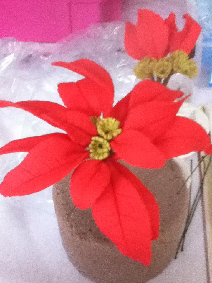 ionaskitchen's tweet image. 