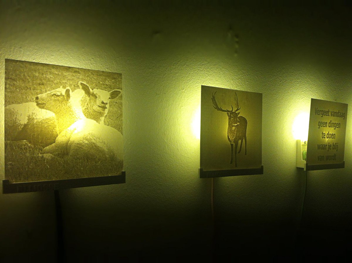 Waarkunst's tweet photo. Mooie lampjes geprint in 3D van @BIJJOSSE. De lampen zijn geprint met PLA, een biologisch afbreekbare kunststof http://t.co/GrJBlcR4wK