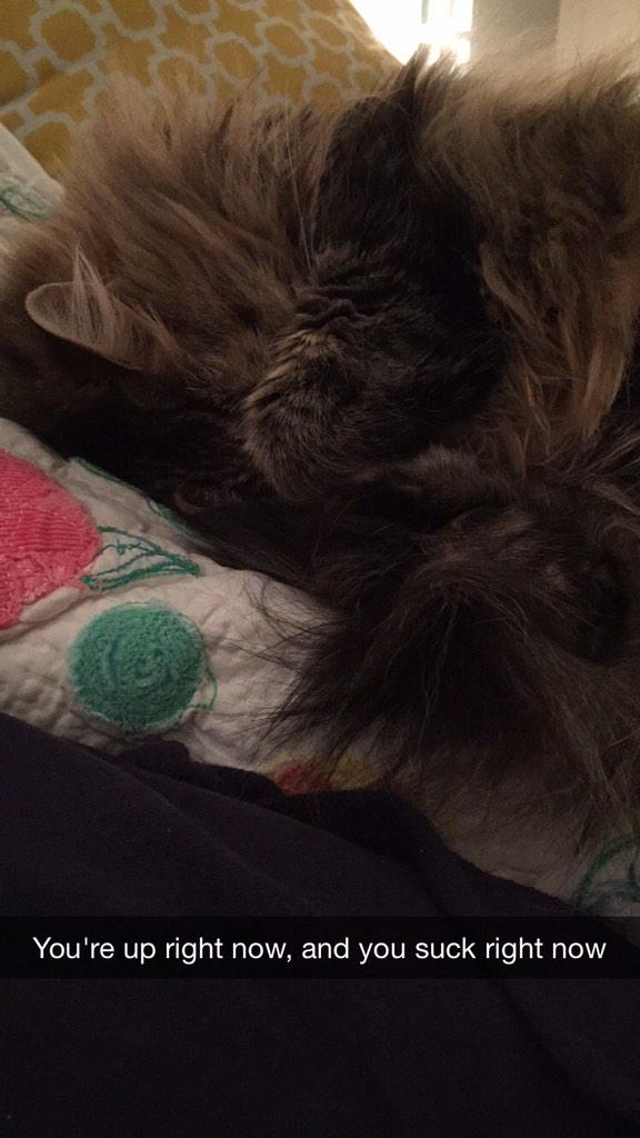 baileyhyers's tweet photo. What's going through her mind as she covers her eyes: http://t.co/LV7kwVsD6n