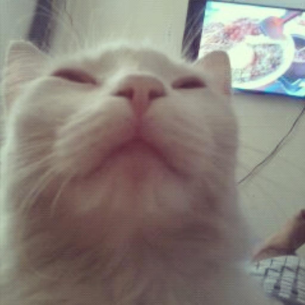 jothanivanovic's tweet image. #Selfie #Mesho