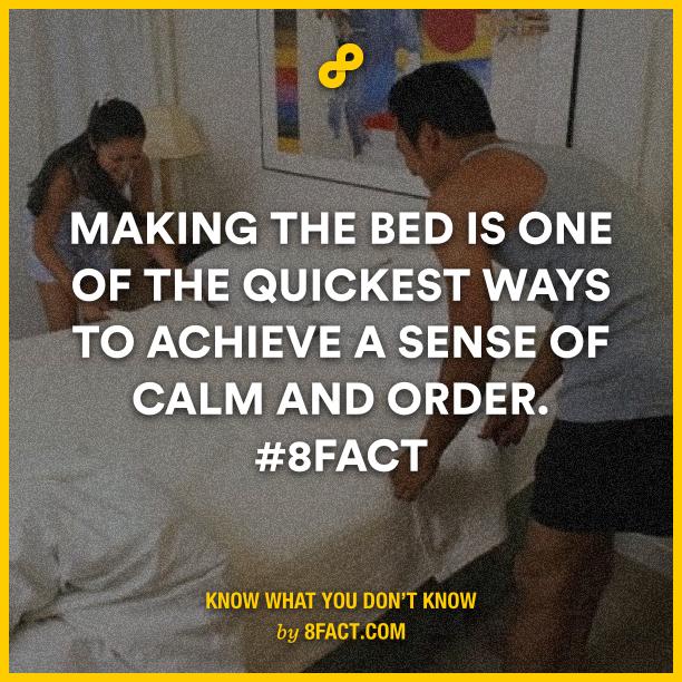 8factapp's tweet image. Merry Christmas, 8FACT STORE is now providing you the holiday necessities! 
Check out here: goo.gl/8YkV2D