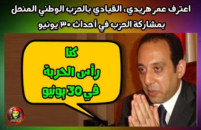 عمر هريدي، القيادي بالحزب الوطني المنحل بيقول لك كنا رأس الحربة في 30 يونيو