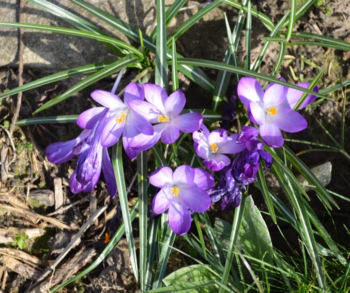  Happy Birthday. Have a lovely day. Enjoy \Selma\ 