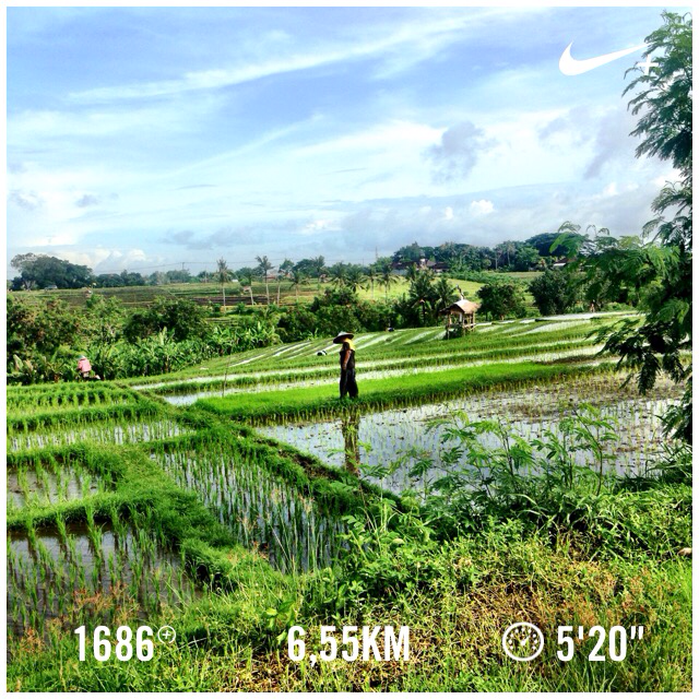 daisy_opp's tweet photo. I just ran 6,55 km with Nike+. http://t.co/I939ueCIr2 #nikeplus http://t.co/xPUpEzQLqd