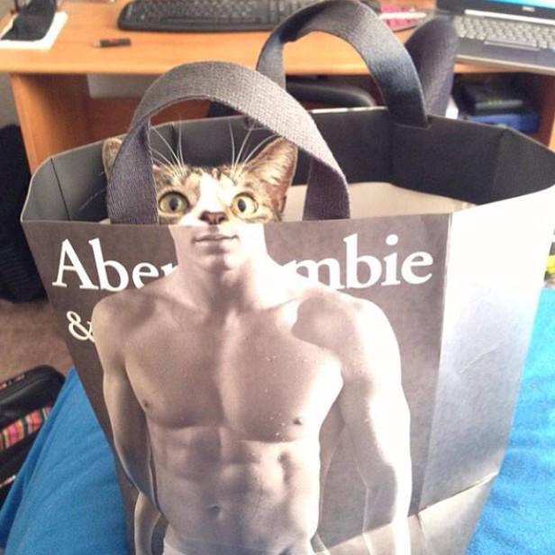 Gay Angelenos tweet media