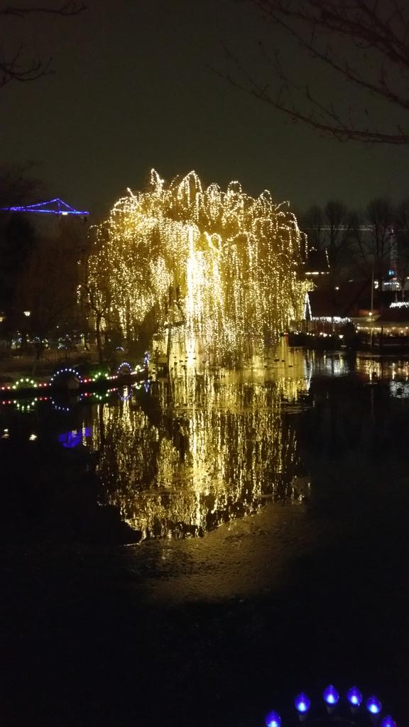 fvauquier's tweet photo. Saule de Noël ! http://t.co/fOWyAxOFfD