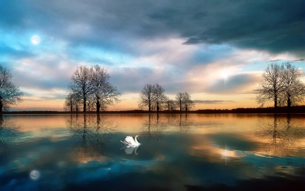 Photographer (@photo5065) on Twitter photo 