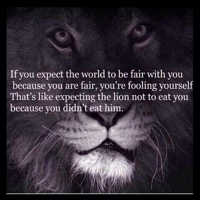 FreeFallFlows's tweet image. 