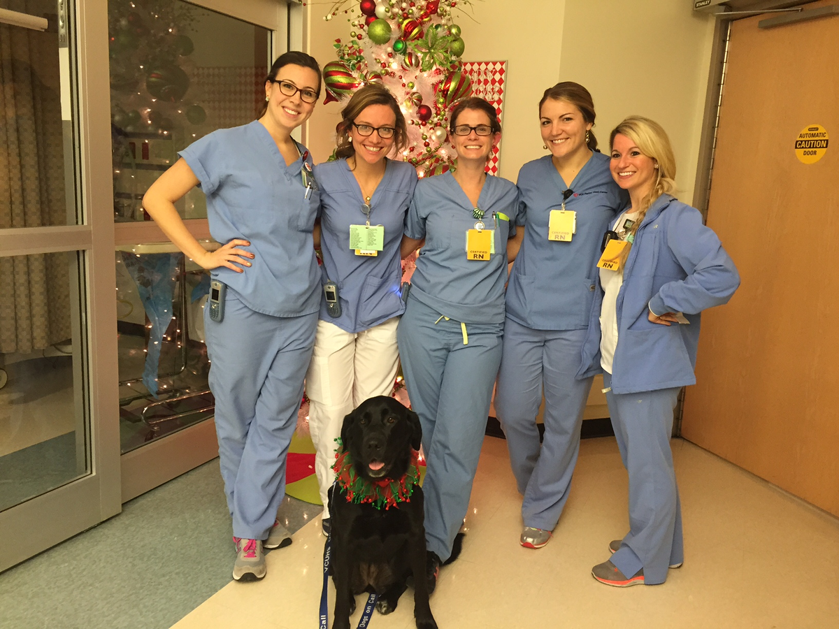 DogsOnCall's tweet photo. 'Bailey' visits nursing staff on Christmas Day. We love our volunteer teams, and the dedicated staff at @VCUMedical ! http://t.co/t0NJ4xCCr9