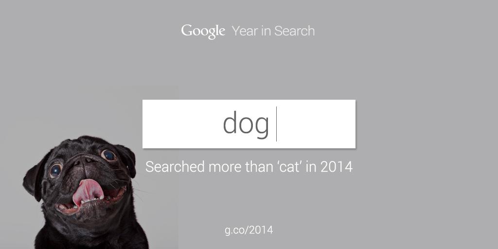 Are cats really the kings of the internet? Find out in the #YearInSearch goo.gl/pdnBaC
