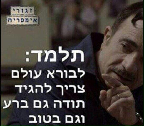 sahar dali tweet media