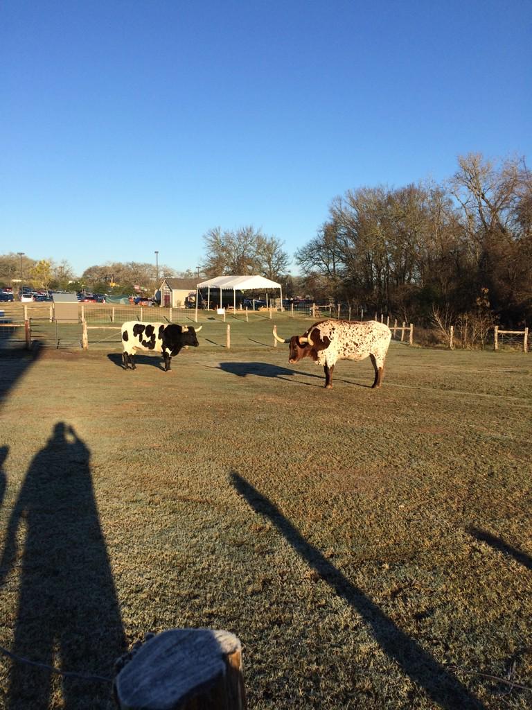 Clint Schumacher tweet media