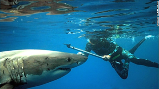 'What I learned from freediving with great white sharks' cnn.it/1tc4HZz #CNNAfrica