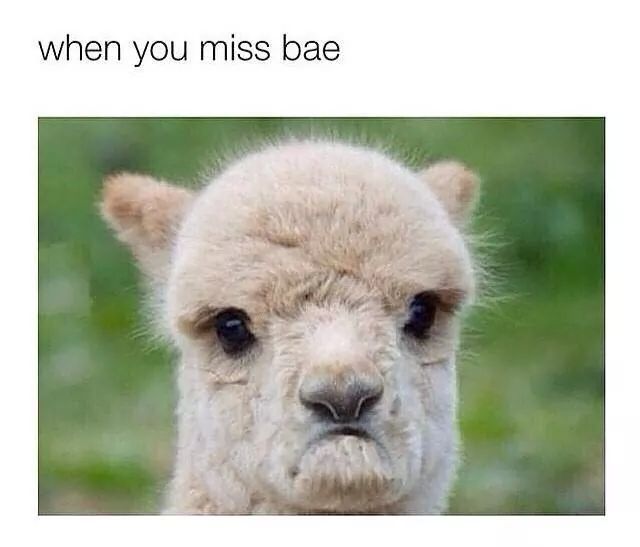 Spudzilla_00's tweet photo. Missing bae ♥ @markbernie8895 http://t.co/AsMKp312ch