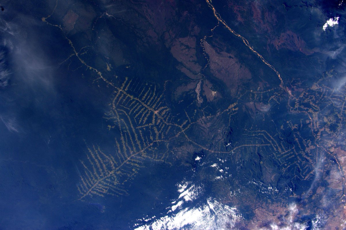 AstroSamantha's tweet image. (IT) Brasile, nord di Manaus. Sono curiosa, cosa sono questi disegni? #HelpRequired