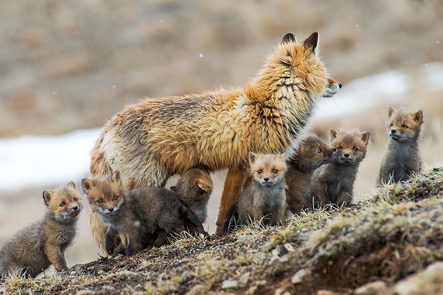 Beautiful family 💝
Kyslov