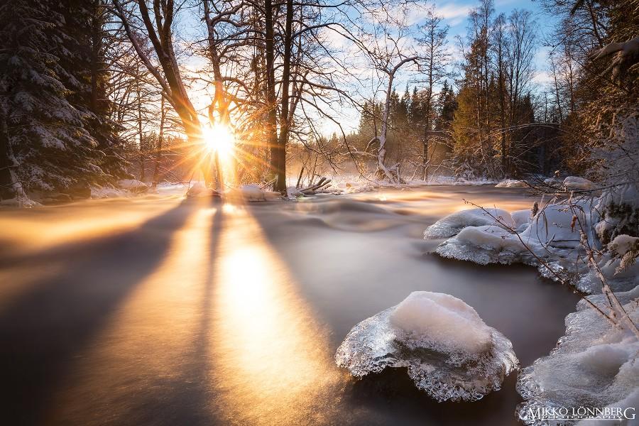 Lovely Monday sunshines 💝