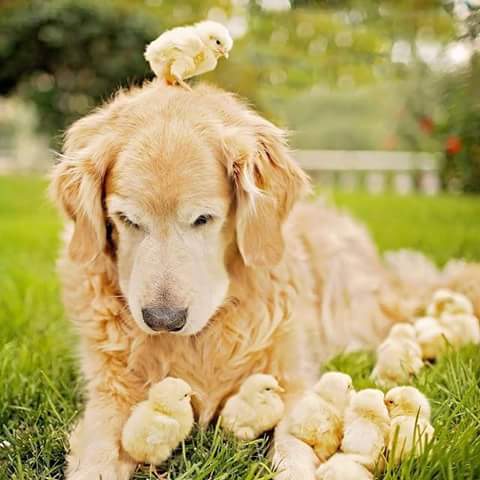 Lovely Monday sunshines 💝
Cute