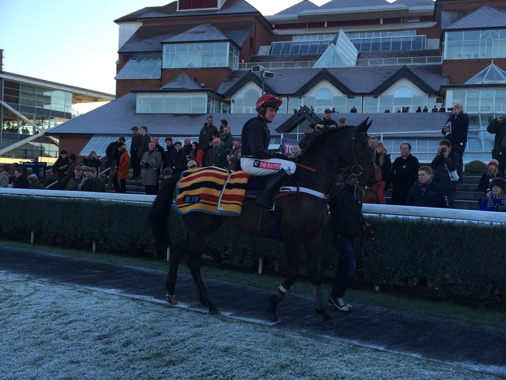 Sprinter Sacre looking amazing <a href="/NewburyRacing/">Newbury Racecourse</a>
