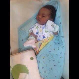 KUDA BESI BALI tweet media