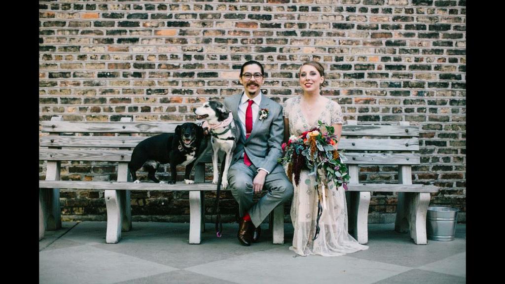 TheStarsAboveRV's tweet photo. And what would life on the road be w/o our #pups? #dogsoftwitter #bhldn #GoRVing #wolvesontheroad http://t.co/mF3oRg0A53