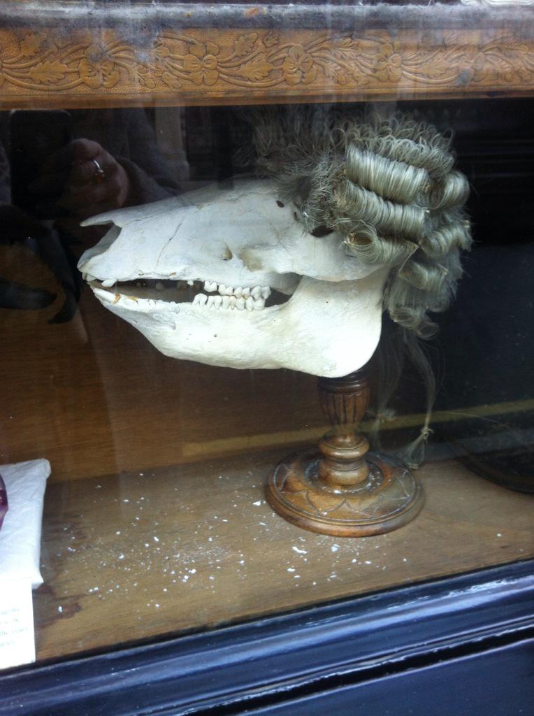 Joanna Whalley tweet media