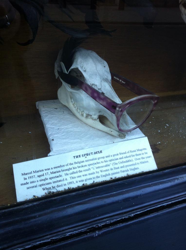 Joanna Whalley tweet media