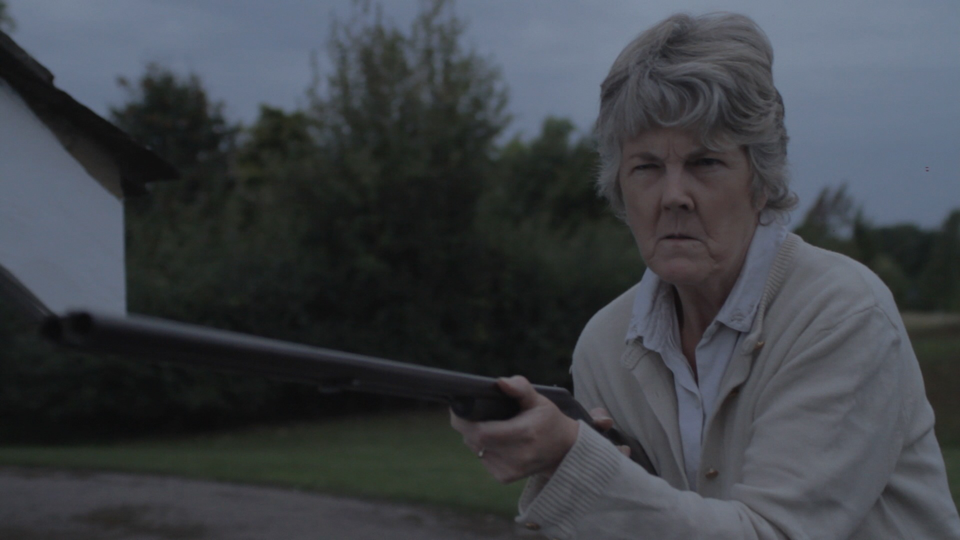 Embedded image permalink