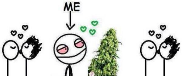 weednsnacks's tweet image. Relationship goals for 2015