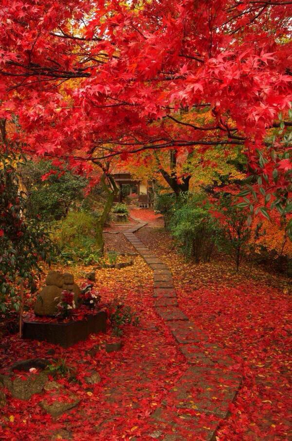 ChiIIVlbes's tweet photo. When you think about it, God is a true artist 🎨 http://t.co/6AO5RPrU9E