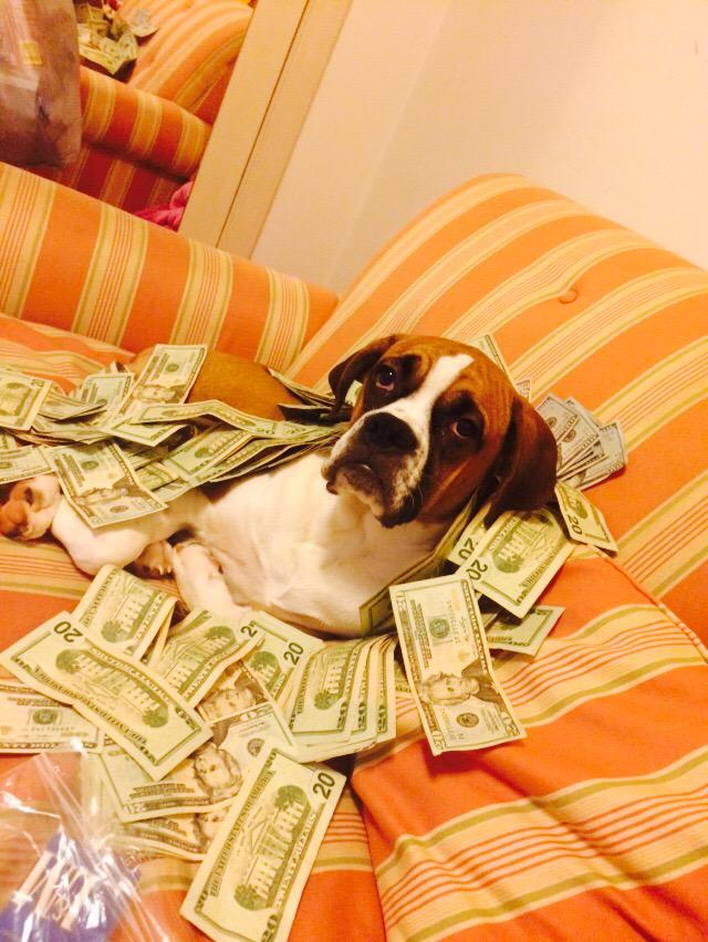 _chadkins's tweet photo. @landon_slate my dog says run yo bandz up lil ass nigga http://t.co/55VIjQS8mT