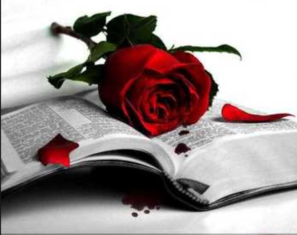خررررررررروج@zainabalkinan@DCreze @sajjadsadeq92@sadeq_doaa@zah331 y