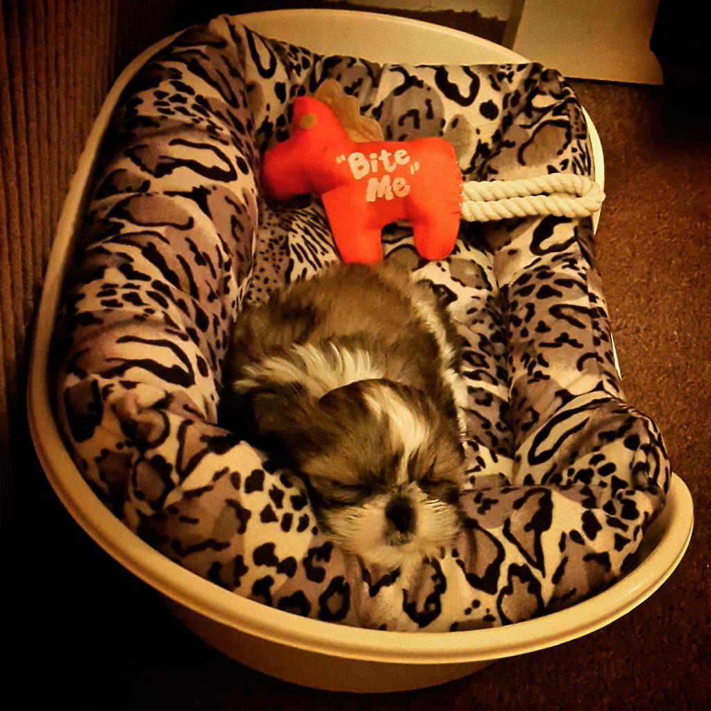 boyne_bethan's tweet photo. Love my Christmas present soooo much 😊 http://t.co/b2Svl9qGoR