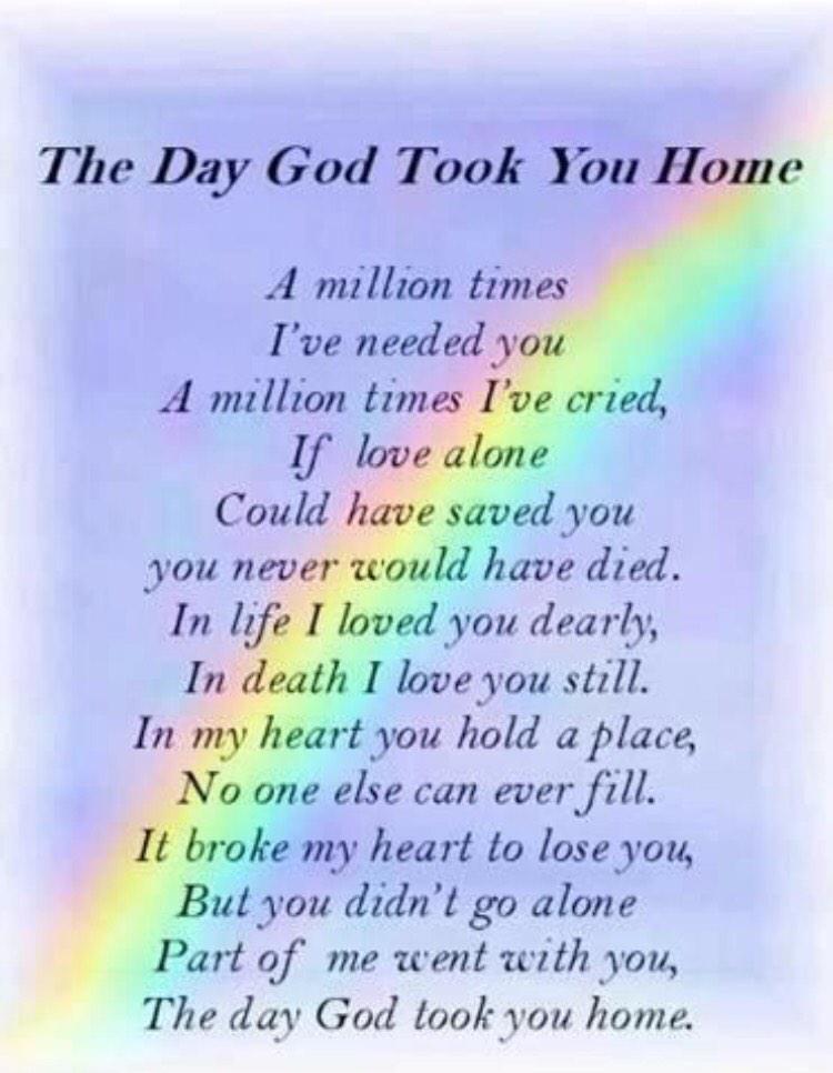 from beloved pet farewell a letter your minute every on stef macleod every you of Twitter:
