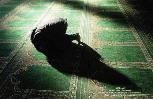 MohamadAlarefe's tweet photo. إذا صليت العشاء،
فما أجمل أن تصلي الوتر ولو ركعة واحدة
تقرأ فيها (قل هو الله أحد)

لعلك تُكتبُ الليلة من قوّام الليل http://t.co/BHsxiaNNxW