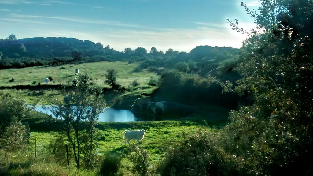 3Juanky's tweet photo. Buena ruta hoy, cuidado con las charcas ocultas. #Running http://t.co/DI8wN5zB48