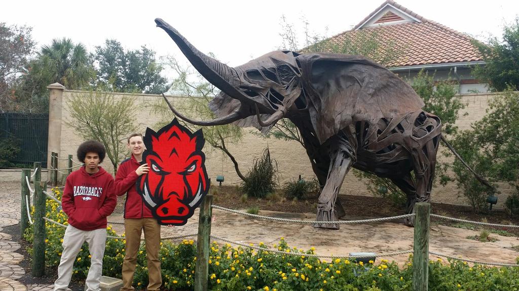 HogsWall's tweet photo. Game day boys! Ready to put the Longhorns down, down, down! #TourdeTexasBowl #WPS http://t.co/paeI7Wkhpn