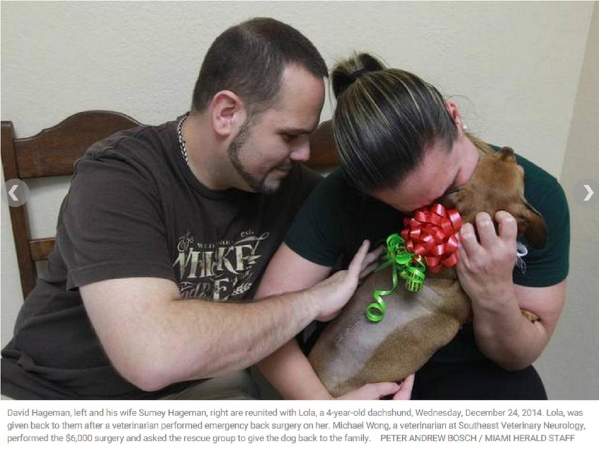 TeloDog's tweet image. Dog returned home for Christmas after vet bit.ly/13F0lxL performs free surgery. hrld.us/1B6OL9C